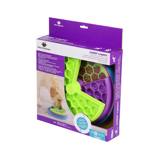 Slow-feeding dog feeder - educational toy